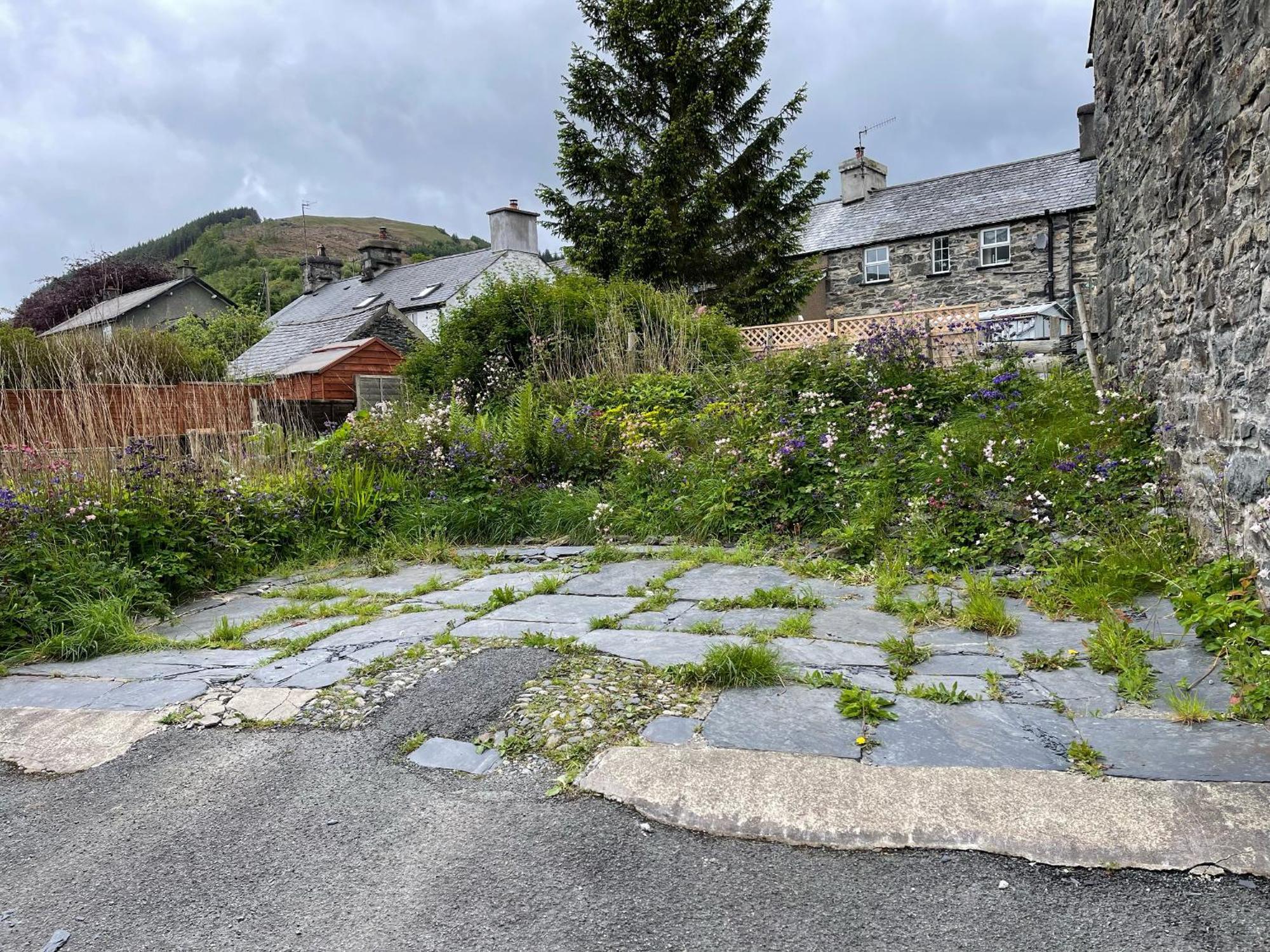Vila White Roses Retreat Betws-y-Coed Exteriér fotografie